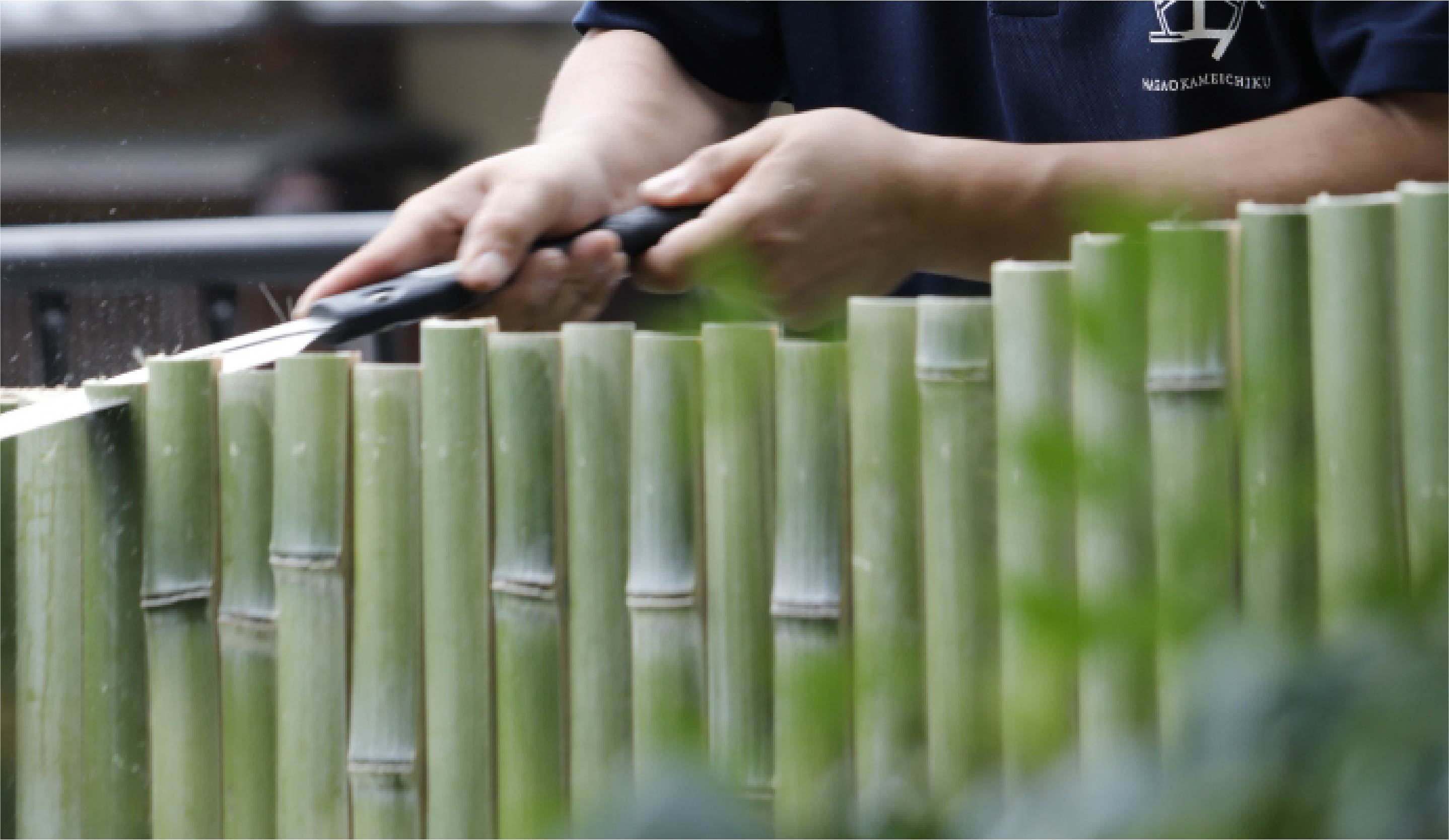 Make History with Bamboo Fence in Kyoto