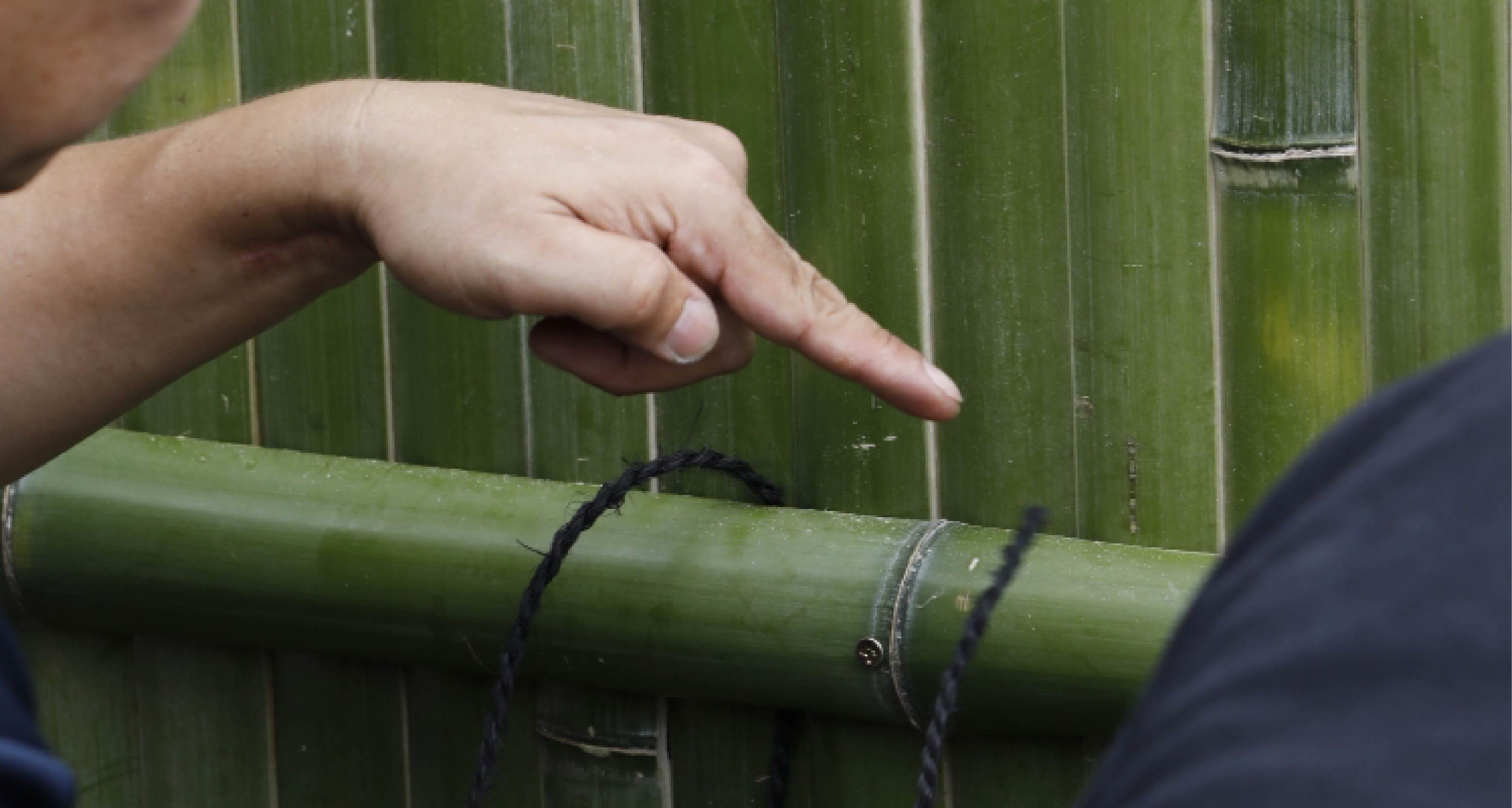 Make History with Bamboo Fence in Kyoto